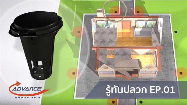 กำจัดปลวก