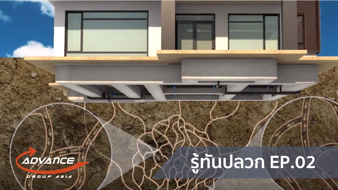 วิธีกำจัดปลวก