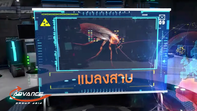 แมลงสาบ