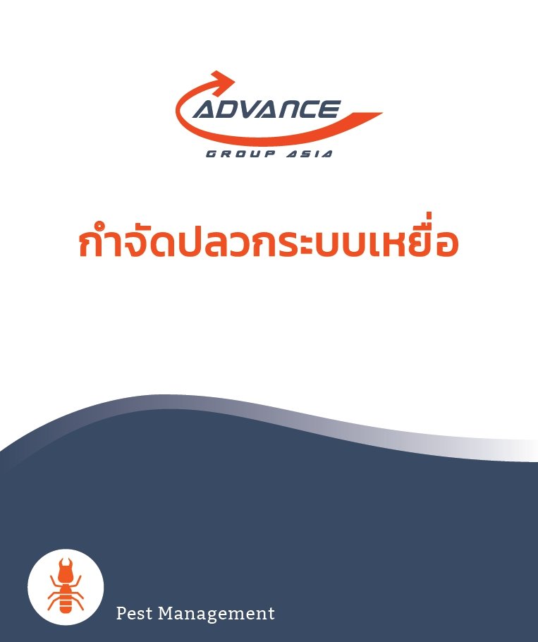 กำจัดปลวก