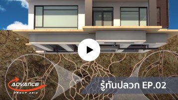กำจัดปลวกในบ้าน