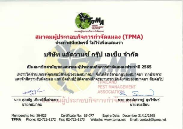 บ้านมีปลวกทำอย่างไร