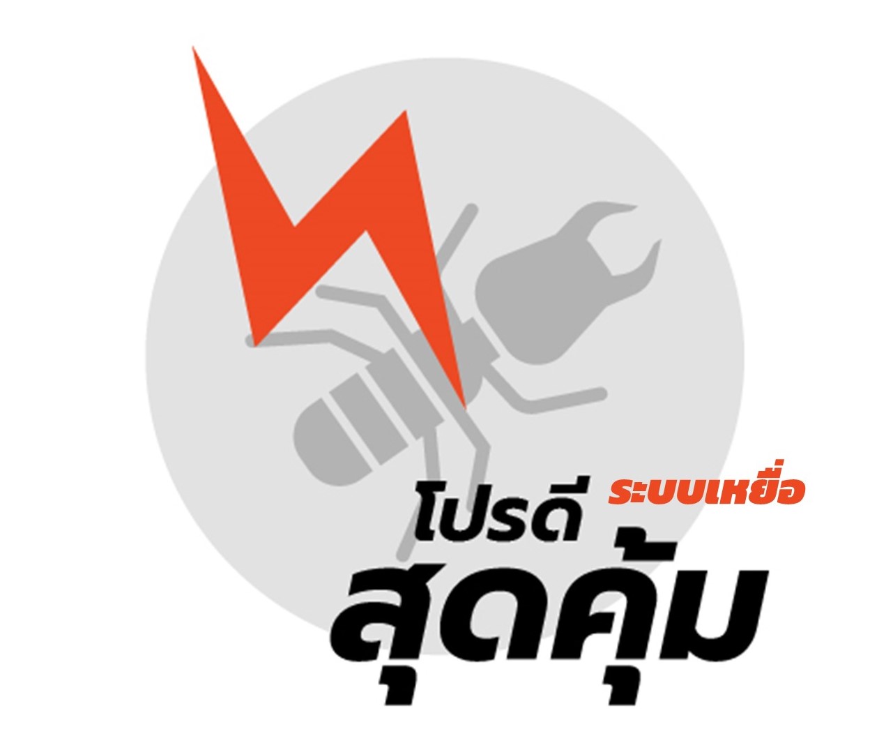 โปรกำจัดปลวก