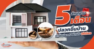 ปลวกขึ้นบ้าน
