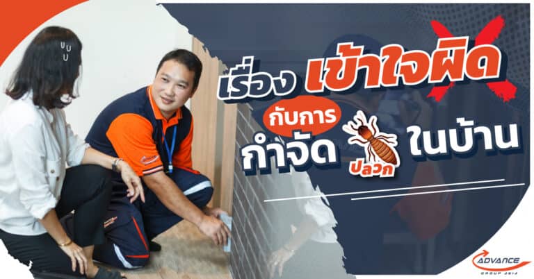 บริษัทกำจัดปลวก