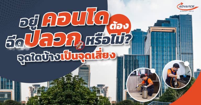 ฉีดปลวก