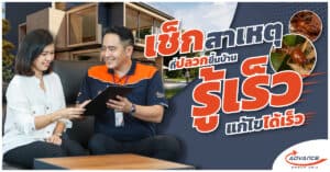ปลวกขึ้นบ้าน