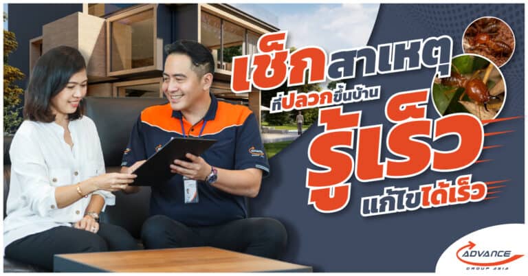 ปลวกขึ้นบ้าน