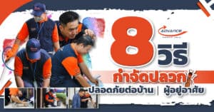 กำจัดปลวก