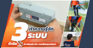 กำจัดปลวก