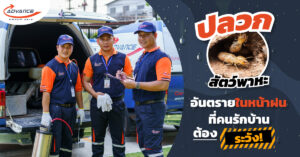 ปลวก