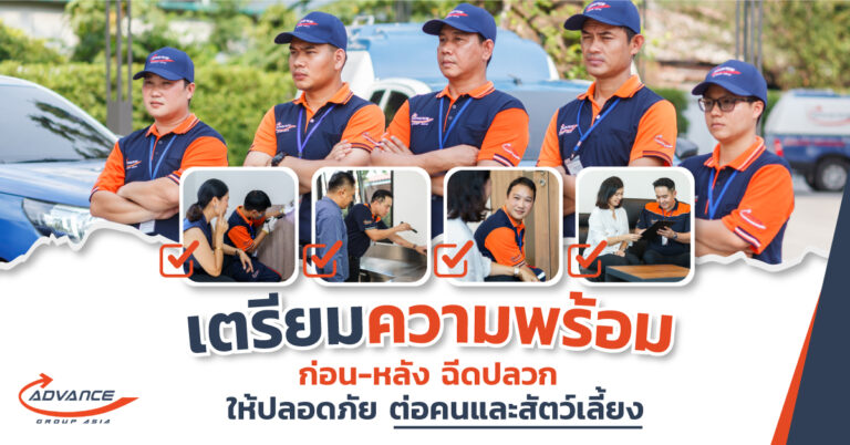 ฉีดปลวก