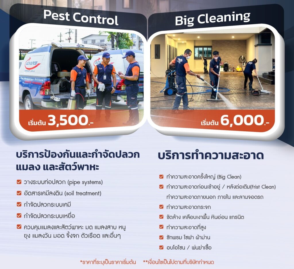 484046194 1051721220322912 2095617893738652816 n | แอ๊ดวานซ์ กรุ๊ป เอเซีย บริษัท กำจัดปลวก กำจัดแมลง ทำความสะอาด