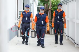 รับฉีดปลวก